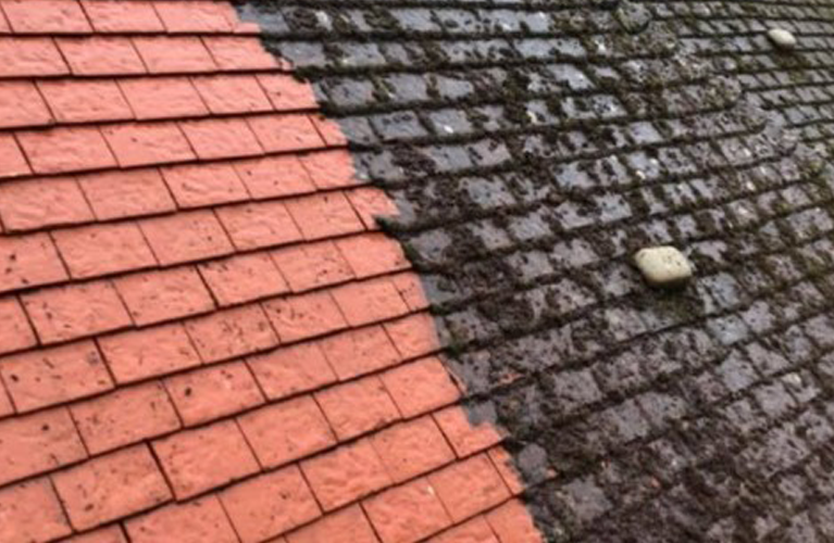 Rénovation et entretien de toiture en Pays de Gex